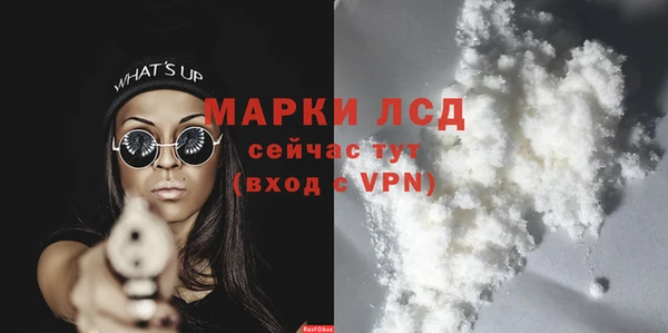 хмурый Корсаков