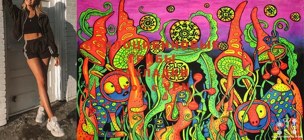 марки nbome Коряжма