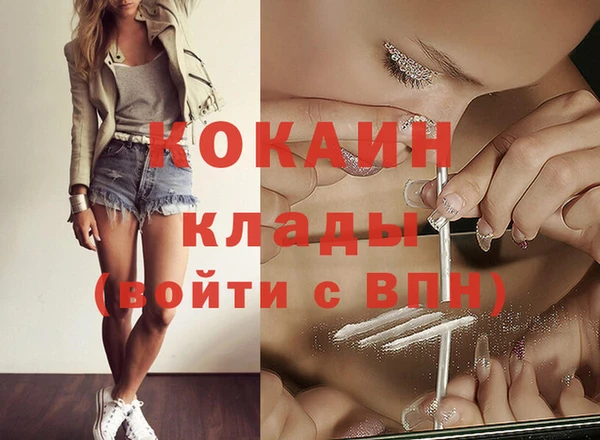 хмурый Корсаков