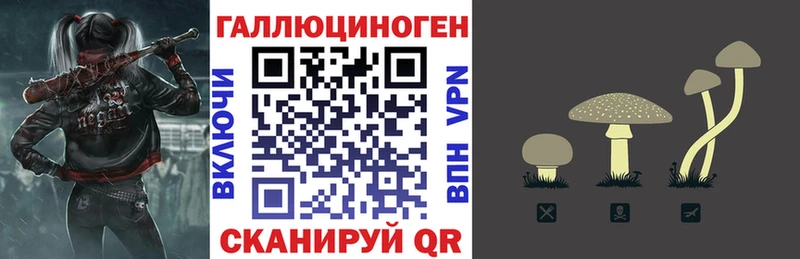 Псилоцибиновые грибы Psilocybe  купить наркоту  OMG tor  Светогорск 